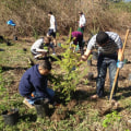 The Impact of Community Projects on Sustainability and Environmental Awareness in Milton, PA
